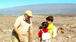 سفر با بچه مسافرتی ها - آمریکای شمالی - هاوایی